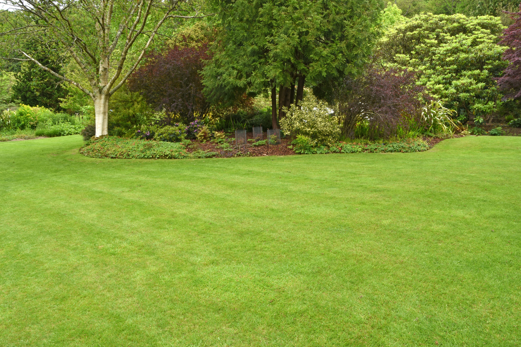 A perfectly manicured country garden in the english style with a sweeping pristine lawn edged with a beautiful border filled with colourful plants, shrubs and small trees. Simply perfect.