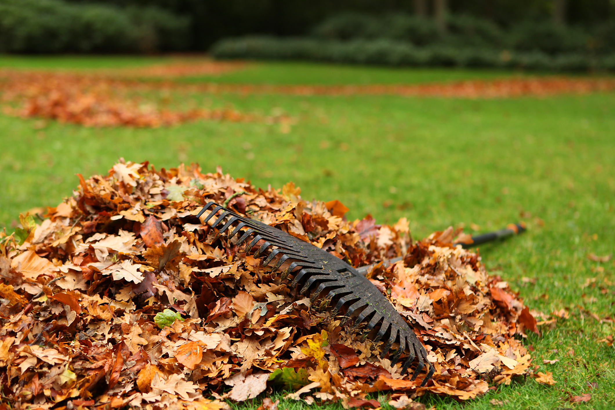 Autumn work in the garden.