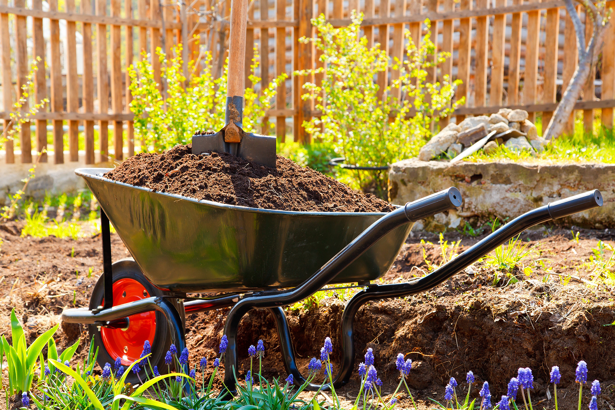 Wheelbarrow full of soil in a garden