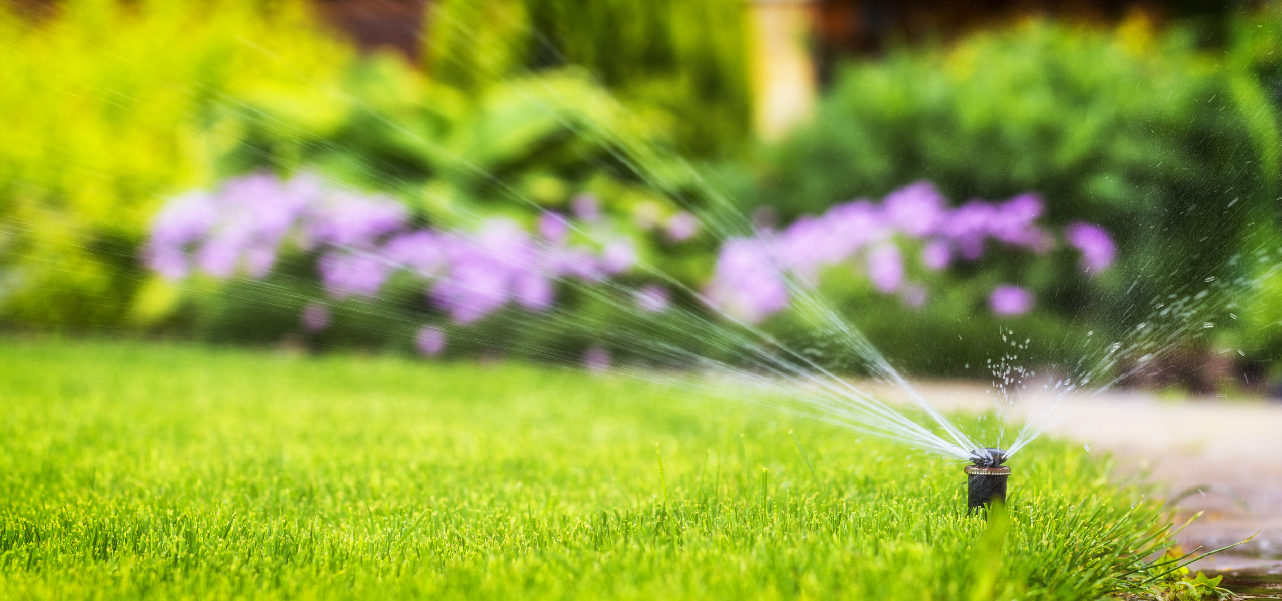 automatic sprinkler system watering the lawn on a background of green grass, close-up